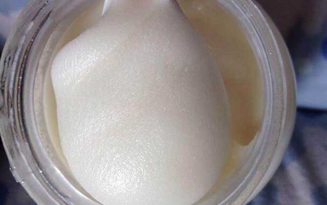 白蜜的功效與作用及食用方法 白蜜