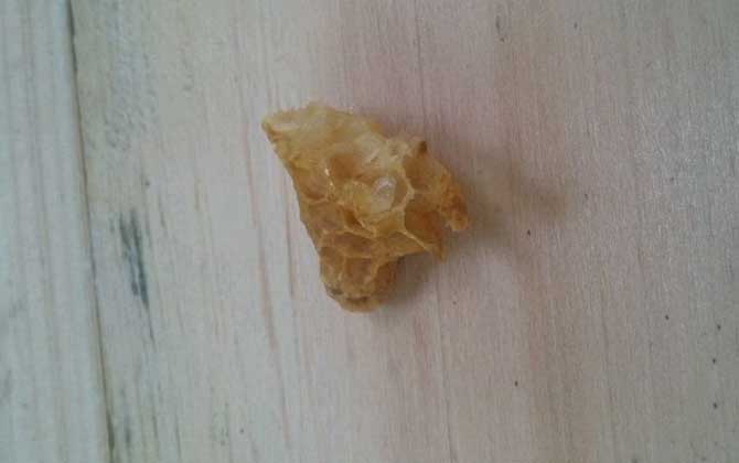 割脾造王的原理及育王技術(shù) 割脾造王