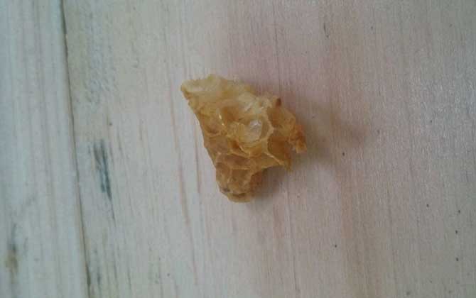 蜜蜂人工育王方法及注意事項 人工育王