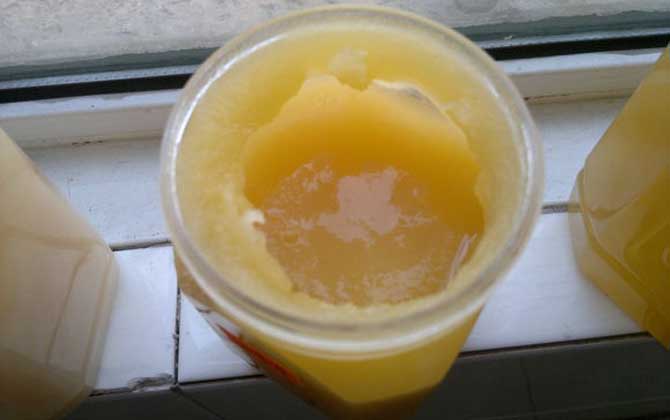 假蜂蜜的特點有哪些?除了外觀和口感,能不能結晶也是重要特征! 蜂蜜