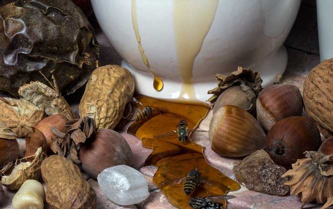 蜂蜜變黑了還能吃嗎?關鍵看變黑的原因,若是變質了則不能再吃! 蜂蜜