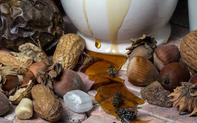 蜂蜜會(huì)過(guò)期嗎?會(huì)變質(zhì)嗎?蜂蜜沒(méi)有保質(zhì)期,但保存不當(dāng)也易變質(zhì)! 蜂蜜