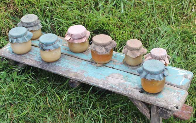 蜂蜜放了五年還能吃嗎?要看有沒有變質,若已變質則不能再食用! 蜂蜜