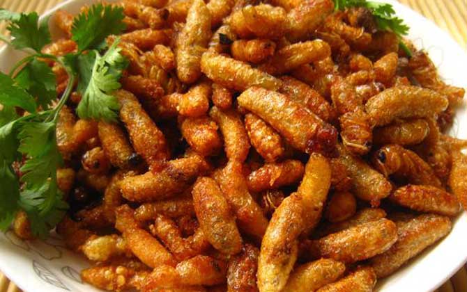 蜂蛹不能和什么一起吃?不存在食物相克,但要避免發生過敏! 蜂蛹