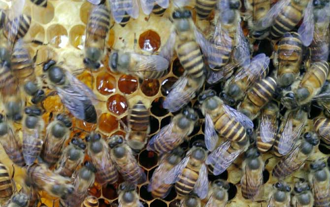 工產群怎么介王安全? 工產群介王