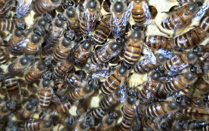 工產群怎么介王安全? 工產群介王