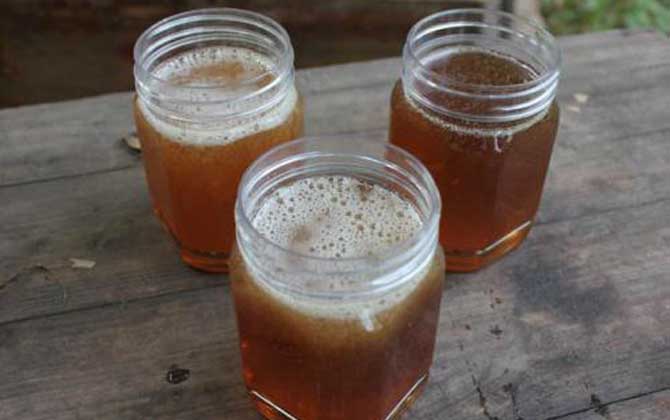 五味子蜂蜜的功效與作用及食用方法 五味子蜂蜜