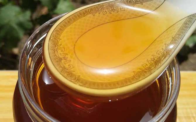 沙棗花蜜的功效與作用及食用方法 沙棗花蜜