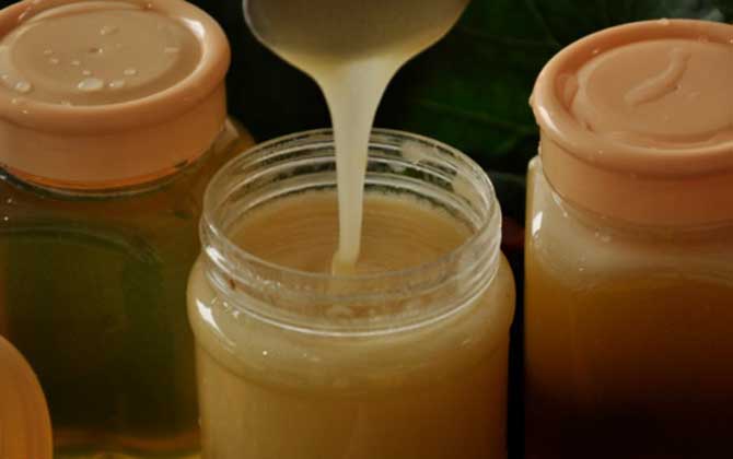 蒲公英蜜的作用與功效及食用方法 蒲公英蜜