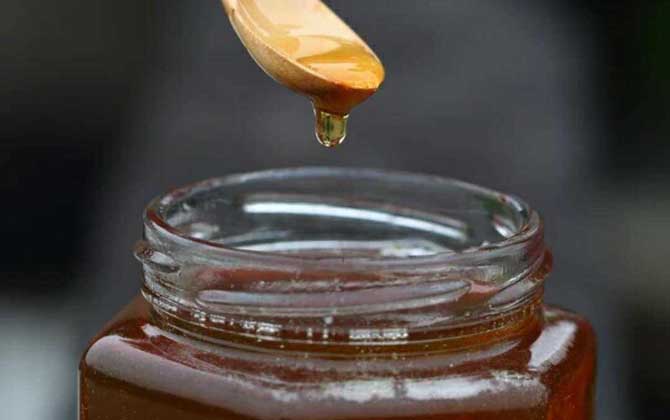 五倍子蜜的作用與功效及食用方法 五倍子蜜