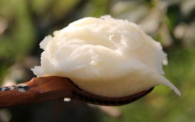 野壩子蜜的作用與功效及食用方法 野壩子蜜