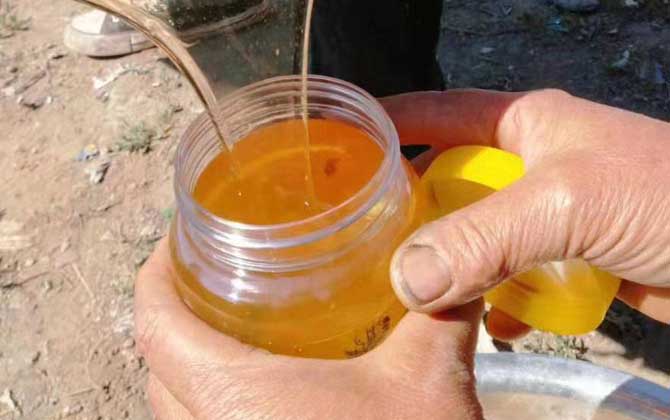 薰衣草蜜的作用與功效及食用方法 薰衣草蜜