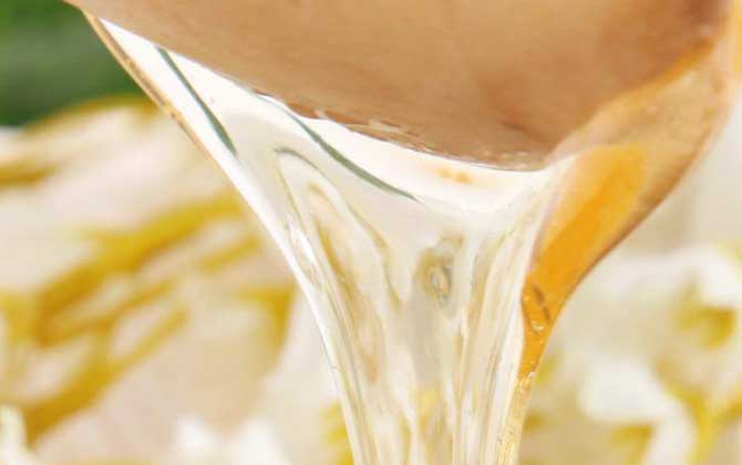 洋槐蜜的功效與作用及食用方法 洋槐蜜