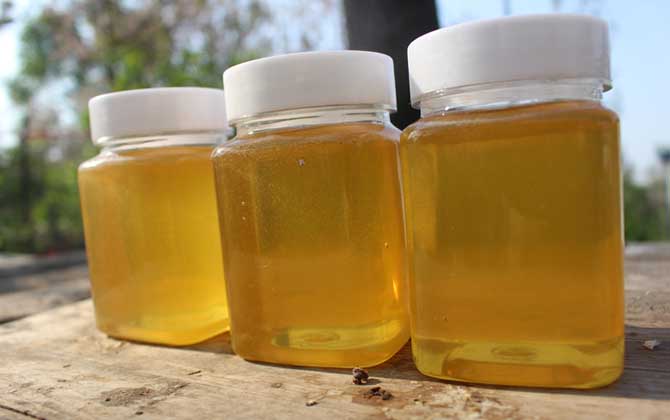 桐花蜜的作用與功效及食用方法 桐花蜜