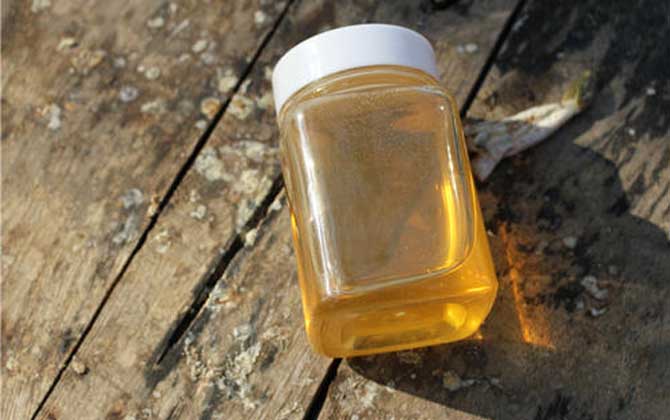 桐花蜜的作用與功效及食用方法 桐花蜜