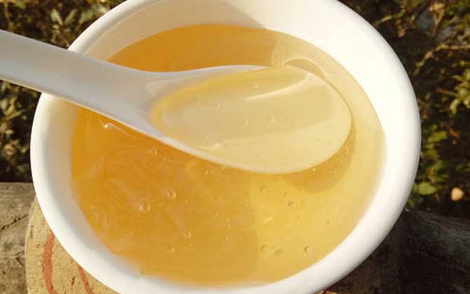 狼牙蜜的作用與功效及食用方法 狼牙蜜