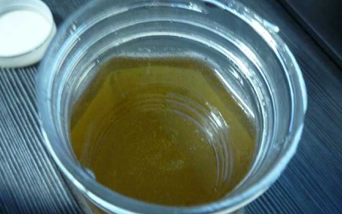 蜂蜜價(jià)格由什么決定的? 蜂蜜價(jià)格