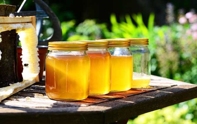 最新蜂蜜價格表及選購方法 蜂蜜