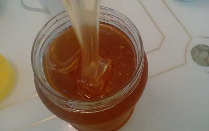 烏桕蜜價(jià)格多少錢一斤? 烏桕蜜