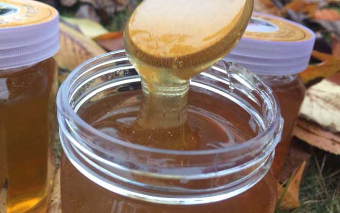 紫云英蜂蜜價格多少錢一斤? 紫云英蜂蜜