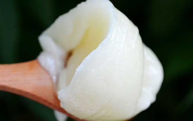 東北黑蜂雪蜜多少錢一斤? 東北黑蜂雪蜜