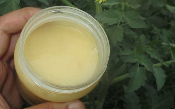 用蜂蜜怎樣去眼部皺紋? 蜂蜜去皺紋