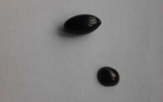 買蜂膠選哪個牌子好? 蜂膠