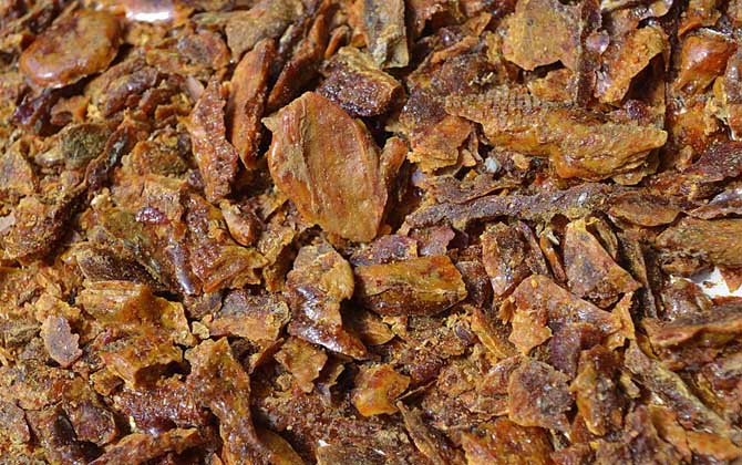 蜂膠對性功能有作用嗎? 蜂膠