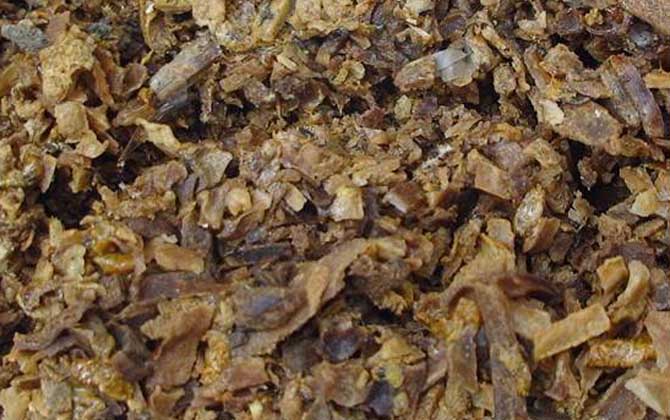 長期吃蜂膠的好處和壞處 蜂膠