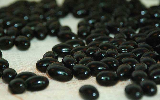 蜂膠膠囊多少錢一瓶? 蜂膠膠囊