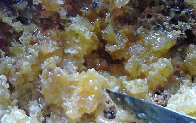 蜂巢酒的禁忌及正確喝法 蜂巢