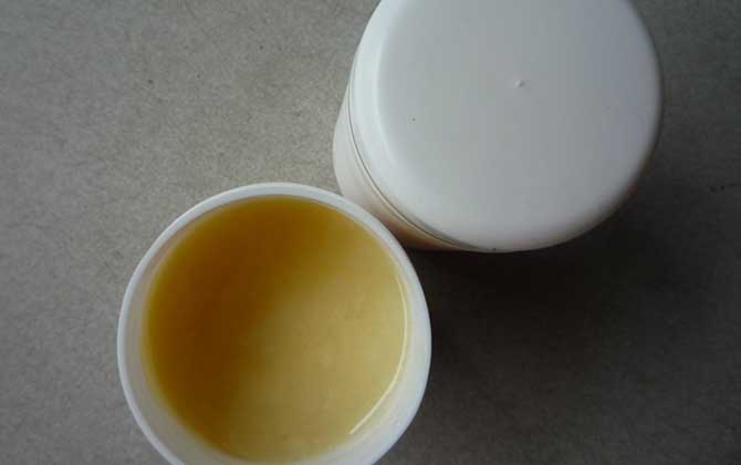 蜂王漿怎么吃效果最好? 蜂王漿