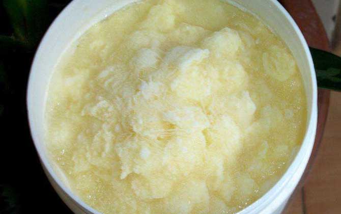 蜂王漿變質是什么樣子的? 蜂王漿