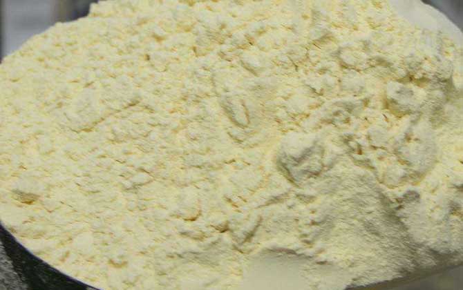 蜂王漿凍干粉的價(jià)格及選購(gòu)方法 蜂王漿凍干粉