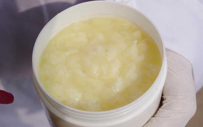 蜂皇漿多少錢一斤正常? 蜂皇漿