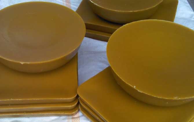 蜂蠟一般在哪里能買到? 蜂蠟