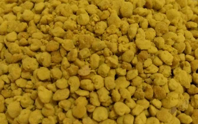 油菜花粉的功效與作用及食用方法 油菜花粉