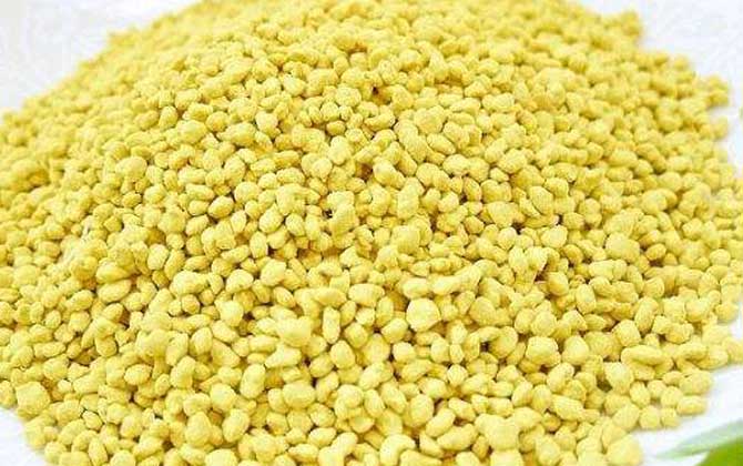 油菜花粉的功效與作用及食用方法 油菜花粉