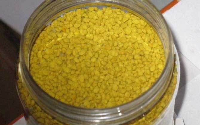 油菜花粉的功效與作用及食用方法 油菜花粉