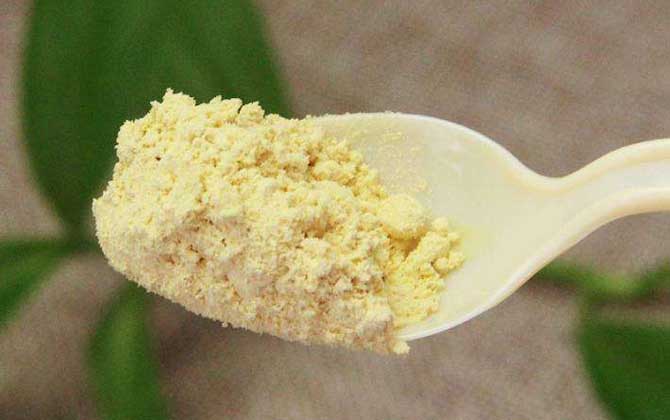 松花粉的功效與作用及食用方法 松花粉