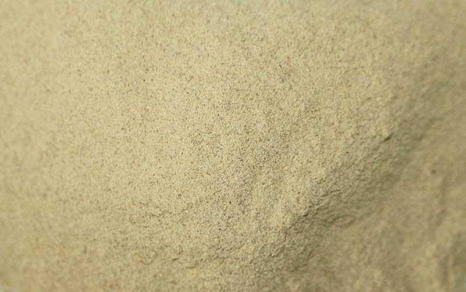 松花粉的功效與作用及食用方法 松花粉