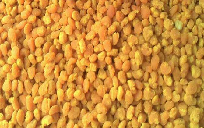 花粉的功效與作用及食用方法 花粉