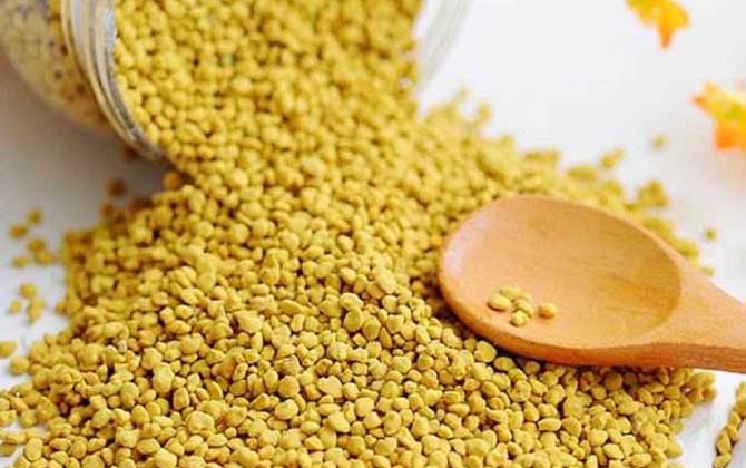 玉米花粉的功效與作用及食用方法 玉米花粉