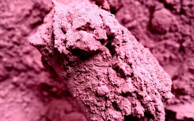 玫瑰花粉的功效與作用及食用方法 玫瑰花粉