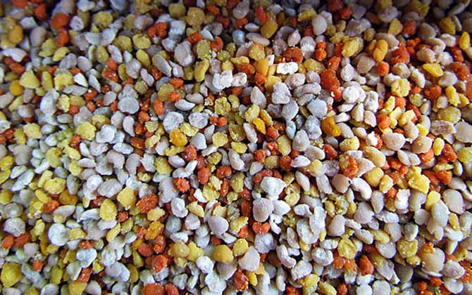 女人吃蜂花粉有什么好處? 蜂花粉