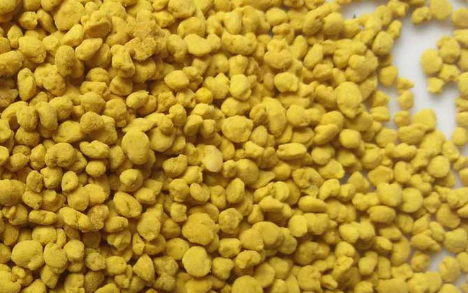 蜂花粉的禁忌及正確吃法 蜂花粉