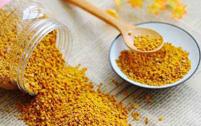 茶花粉的功效與副作用及禁忌 茶花粉