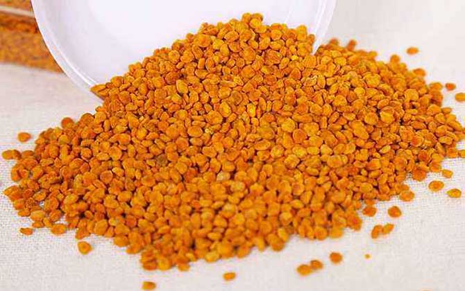 茶花粉的功效與副作用及禁忌 茶花粉