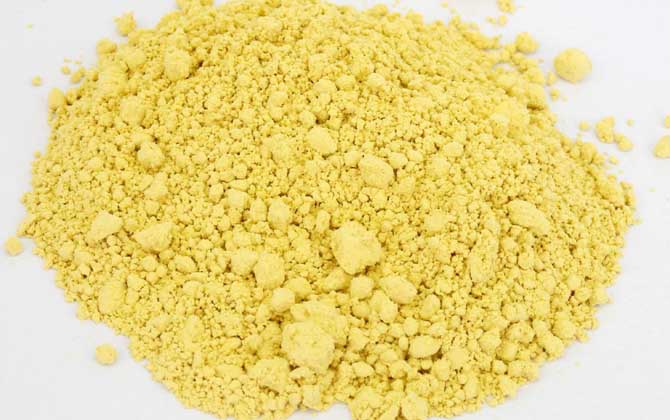 松花粉到底是不是騙局? 松花粉