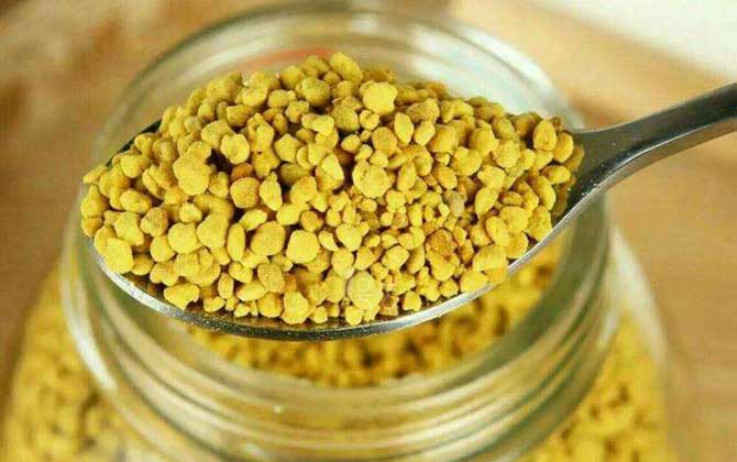 油菜花粉的功效與作用及禁忌人群 油菜花粉